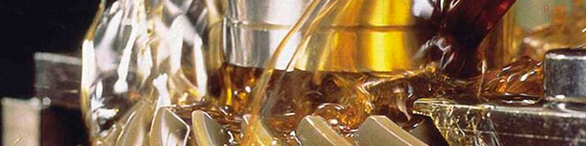 Aceites para hostelería. portaldelahosteleria.com